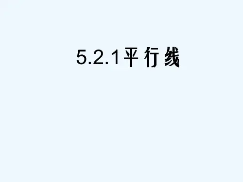 人教版平行线 PPT