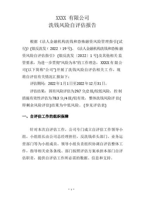 洗钱风险自评估报告