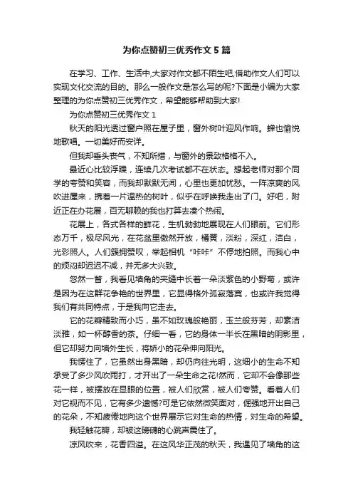 为你点赞初三优秀作文5篇
