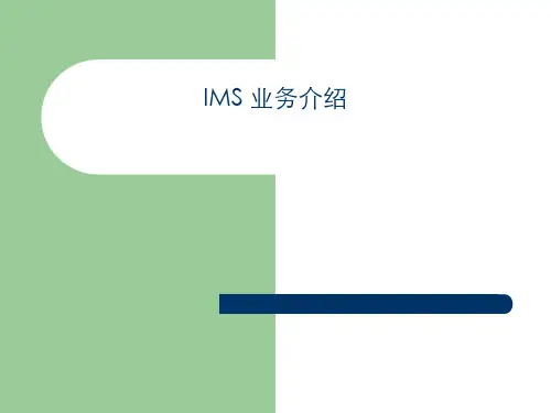 IMS 业务介绍