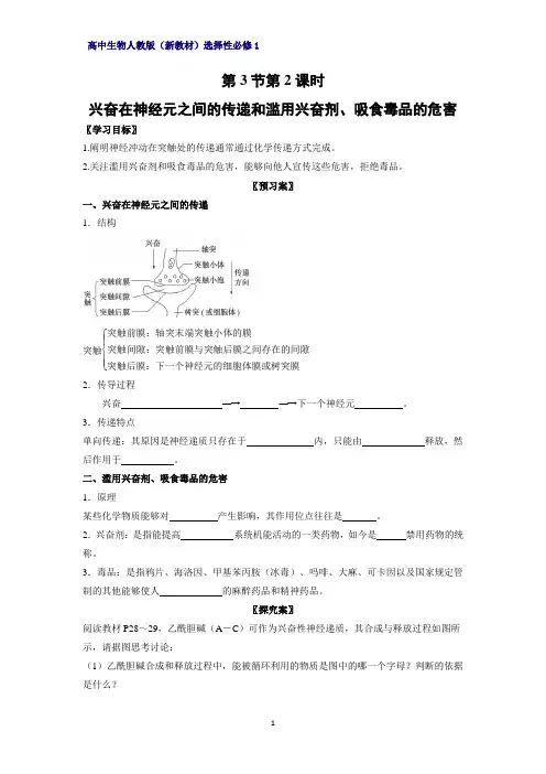 高中生物选修1精品学案1：2-3-2-兴奋在神经元之间的传递和滥用兴奋剂、吸食毒品的危害 人教版