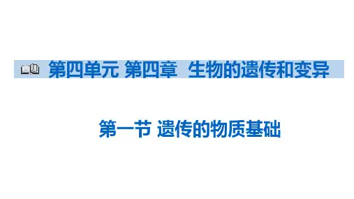 第一节遗传的物质基础课件2021--2022学年济南版生物八年级上册