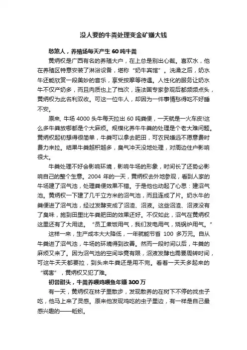 没人要的牛粪处理变金矿赚大钱