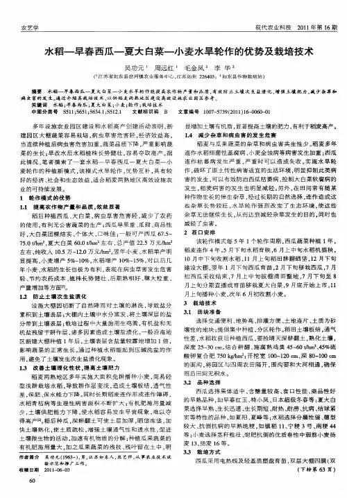 水稻—早春西瓜—夏大白菜—小麦水旱轮作的优势及栽培技术