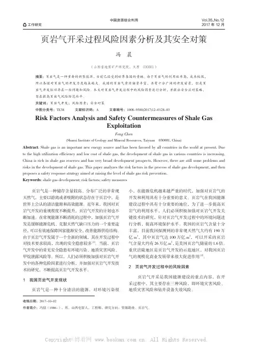 页岩气开采过程风险因素分析及其安全对策
