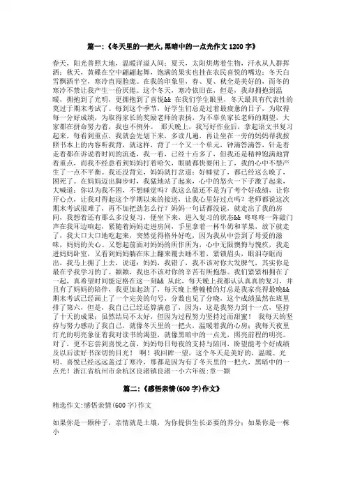 冬天里的一把火600字作文