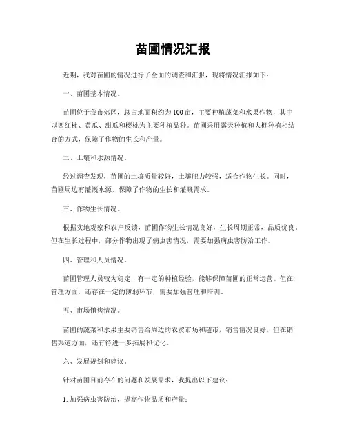 苗圃情况汇报