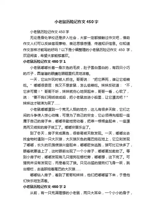 小老鼠历险记作文450字
