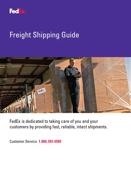 FedEx 货运发货指南说明书