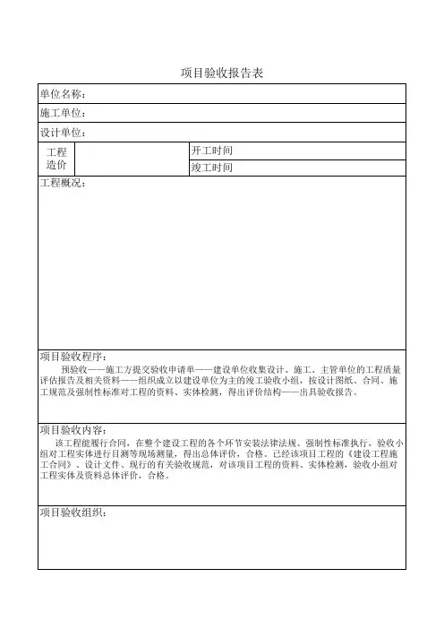 项目验收报告表模板