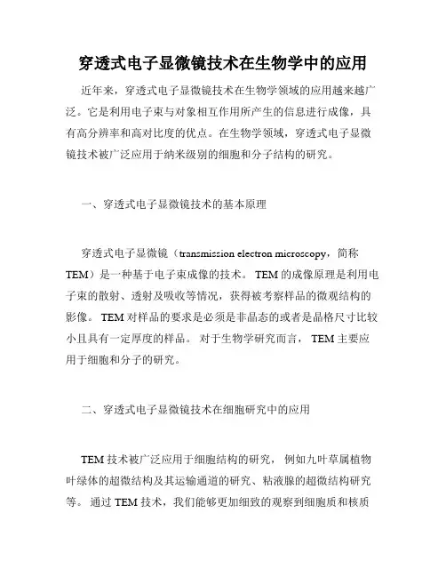 穿透式电子显微镜技术在生物学中的应用