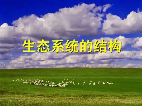 生态系统的结构