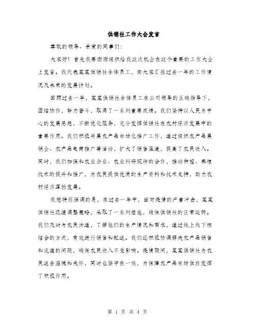 供销社工作大会发言(2篇)