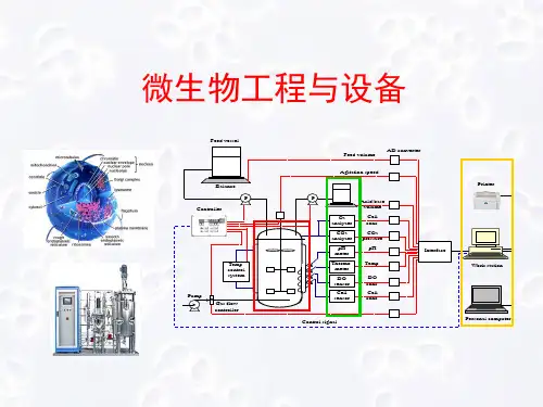 第8章-微生物反应动力学