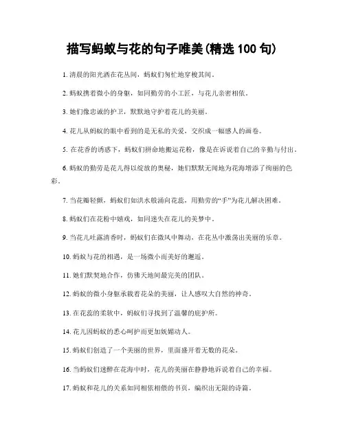 描写蚂蚁与花的句子唯美(精选100句)