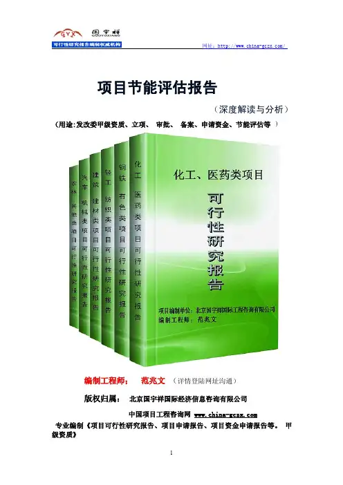 项目节能评估报告定义及解读