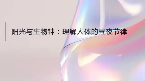 阳光与生物钟：理解人体的昼夜节律