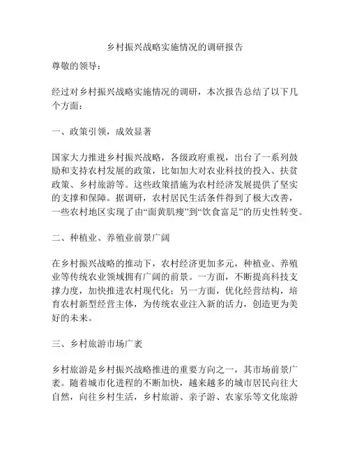 乡村振兴战略实施情况的调研报告