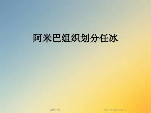 阿米巴组织划分任冰