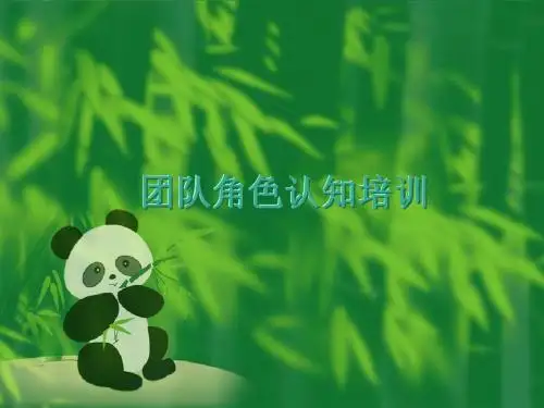 团队角色认知培训
