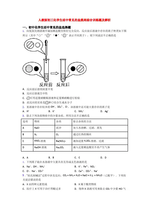 人教版初三化学生活中常见的盐提高综合训练题及解析