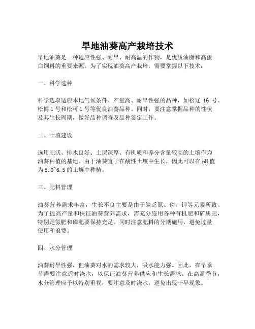 旱地油葵高产栽培技术