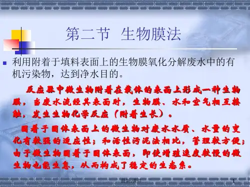 污染控制第四章-2 生物膜法最终版.ppt