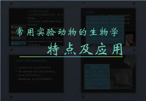 实验动物的生物学特性和应用(共37张PPT)
