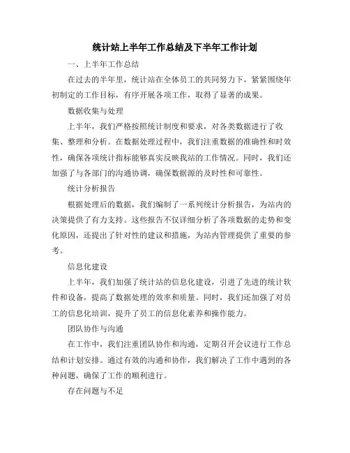 统计站上半年工作总结及下半年工作计划