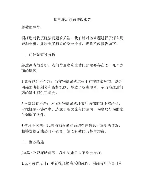 物资廉洁问题整改报告