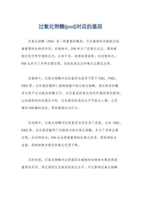 过氧化物酶(pod)对应的基因