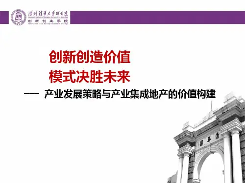 《产业发展策略》PPT课件