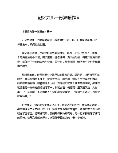 记忆力那一份温暖作文