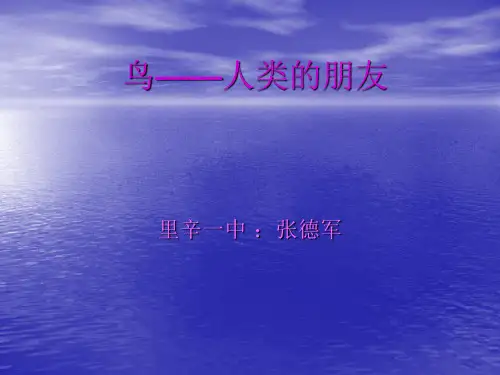 鸟 ----人类的朋友ppt