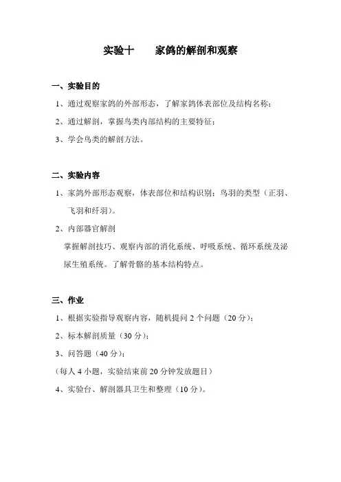 实验十    家鸽的解剖和观察
