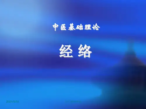 中医基础理论(经络学说)