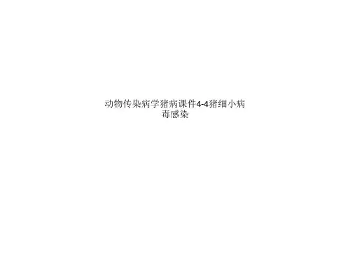 动物传染病学猪病课件4-4猪细小病毒感染