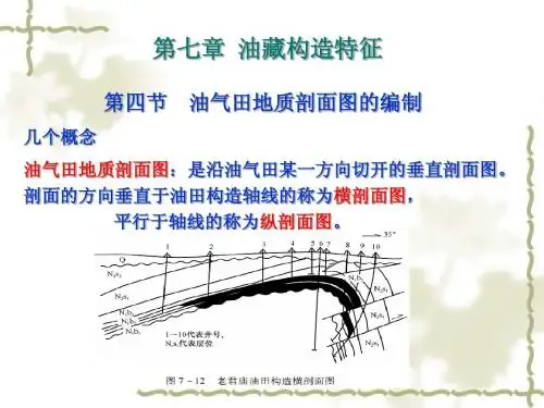 新第七章油藏平面构造的编制