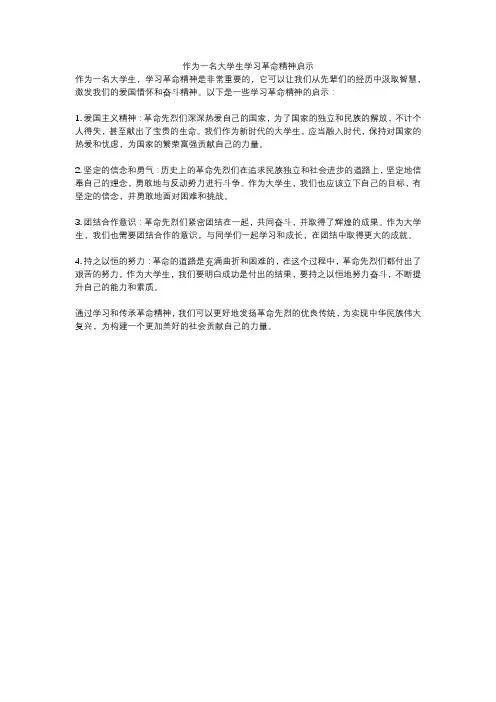 作为一名大学生学习革命精神启示