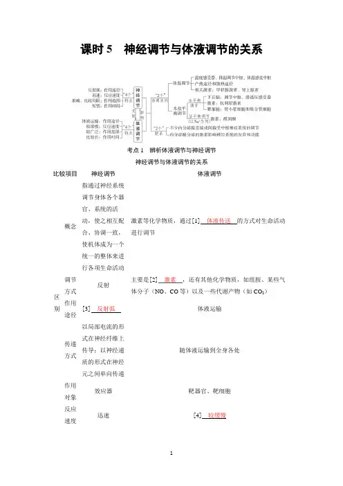 2025高考生物备考教案：第八章 动物和人体生命活动的调节 课时5 神经调节与体液调节的关系