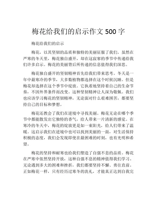 梅花给我们的启示作文500字