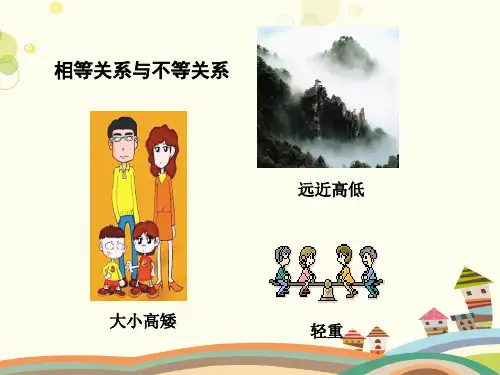 等式性质和不等式性质完整版课件