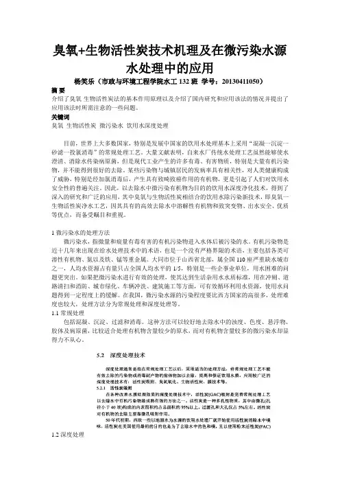 臭氧-生物活性炭技术机理及在位污染水源水处理中的