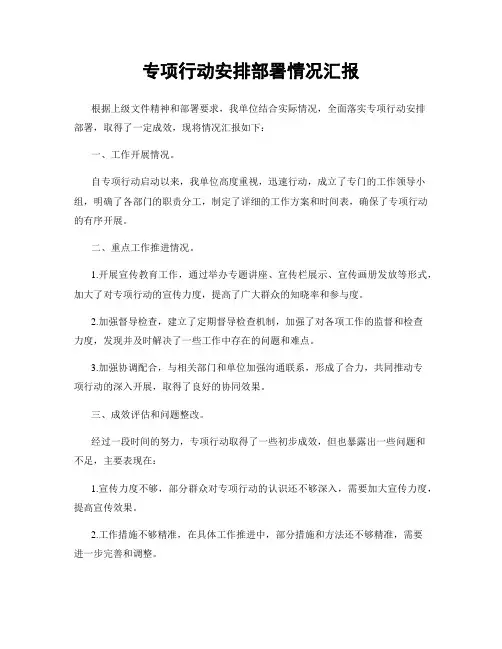 专项行动安排部署情况汇报