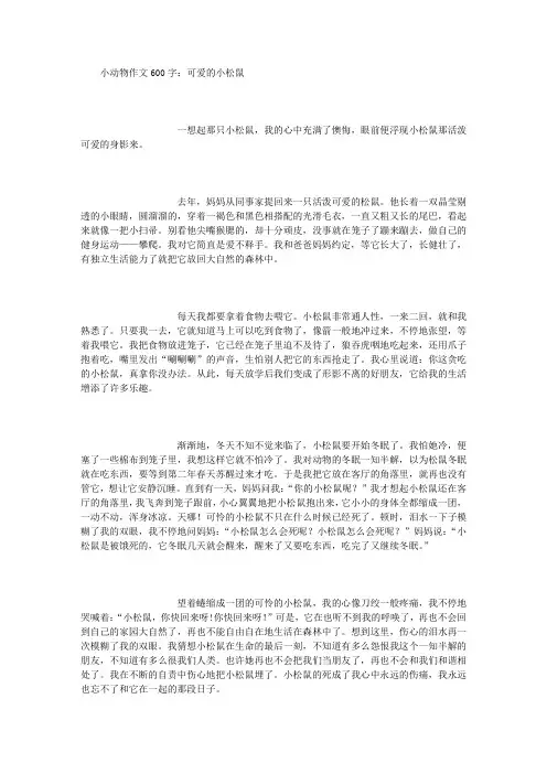 二年级下第五单元作文 (精选范文)