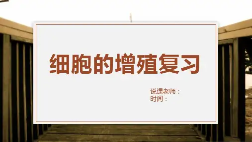 2024届高三一轮复习生物：细胞的增殖说课课件