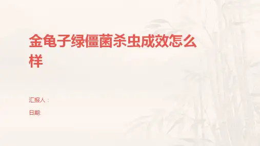金龟子绿僵菌杀虫成效怎么样