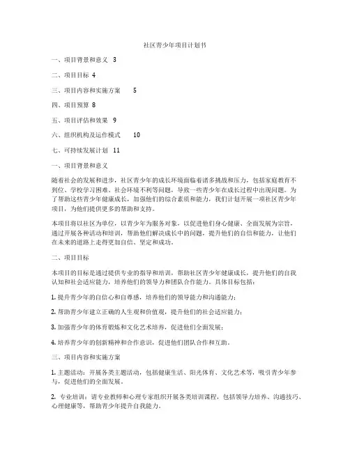 社区青少年项目计划书