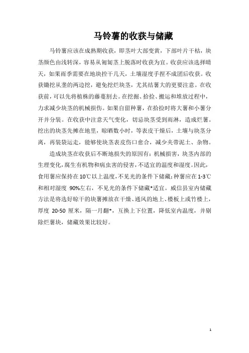 马铃薯的收获与储藏