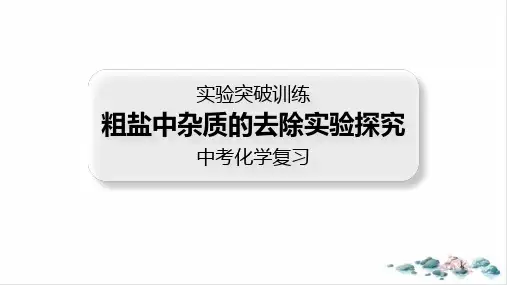 中考化学实验专项训练8粗盐中杂质的去除实验探究